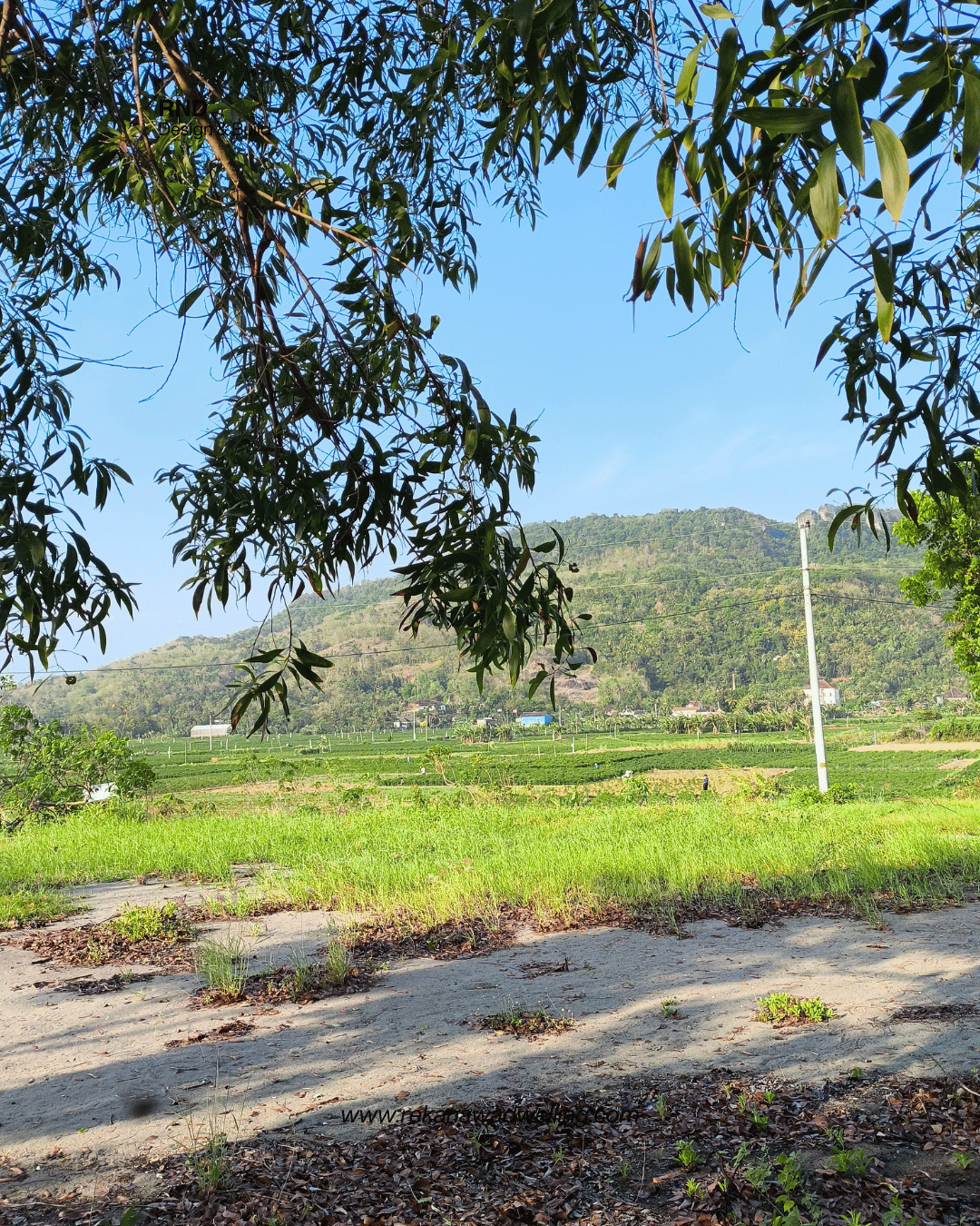 Gambar properti Tanah Kosong - Galeri 5